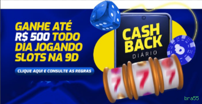 Segurança bra55 SSL